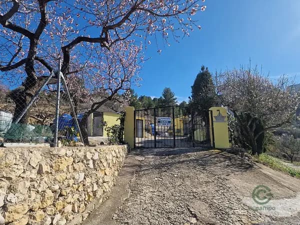 Agricultural property of 1,03 ha for sale in Alicante