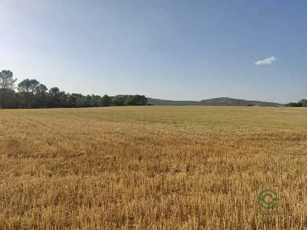 Finca rústica de 2,37 ha en venta en Guadalajara