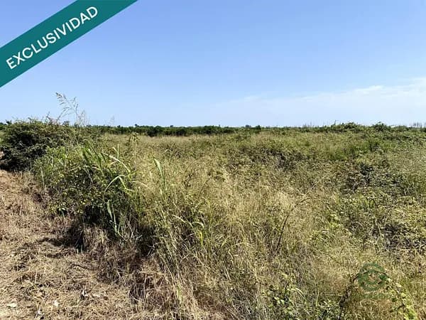Finca rústica de 0,78 ha en venta en Riola, Valencia