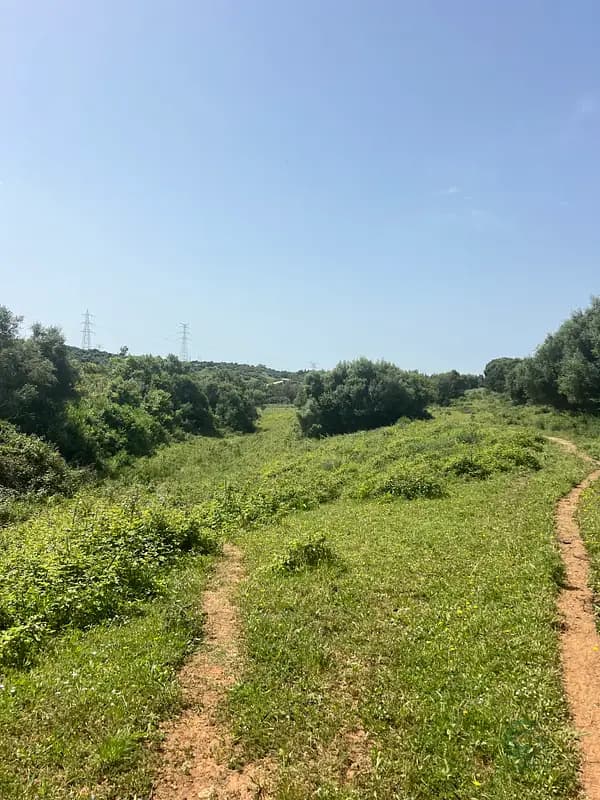 Finca rústica de 50 ha en venta en Cádiz