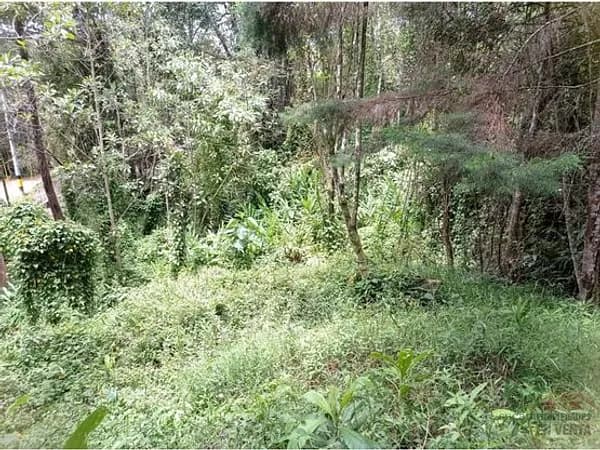 Finca rústica de 0,5 ha en venta en Antioquia
