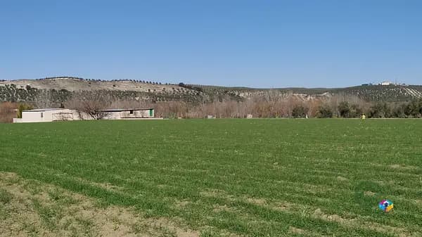 Finca rústica de 4,5 ha en venta en Jaén