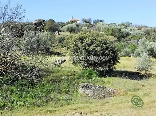 Finca rústica de 4,1 ha en venta en San martin de pusa, Toledo