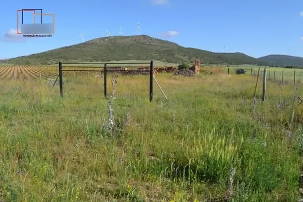 Finca rústica de 13,1 ha en venta en Valdepenas, Ciudad real