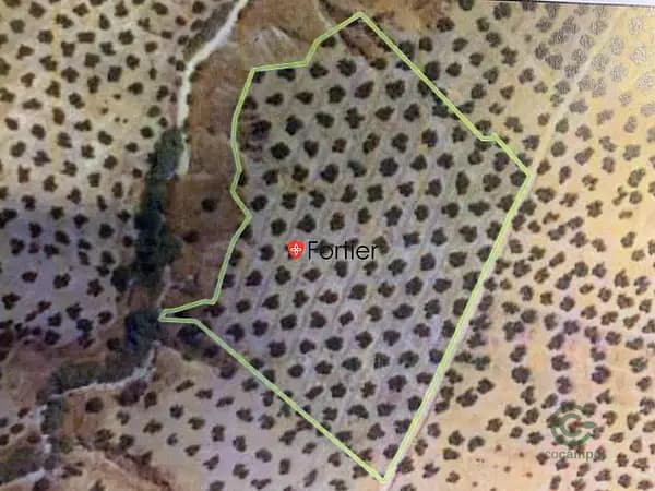 Finca agrícola de 2,61 ha en venta en Martos, Jaen