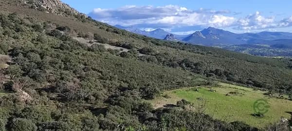 Finca rústica de 47 ha en venta en Cáceres