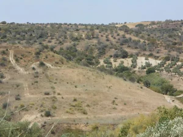 Finca rústica de 1,5344 ha en venta en Bonares, Huelva