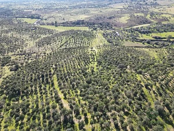 Finca rústica de 17 ha en venta en Cáceres