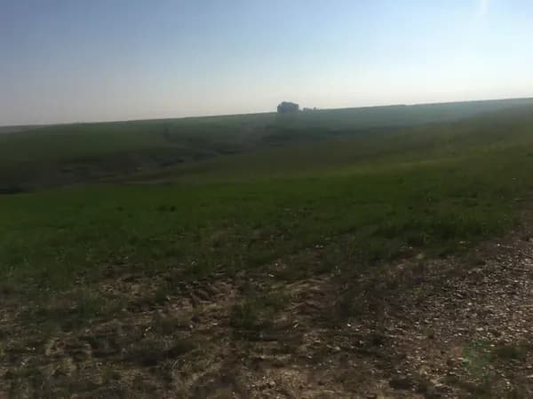 Finca agrícola de 5,2 ha en venta en Sevilla