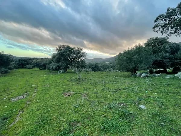 Finca ganadera de 550 ha en venta en Cáceres
