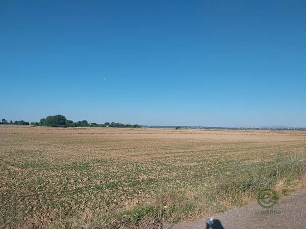 Finca rústica de 3 ha en venta en Fuente el saz de jarama, Madrid