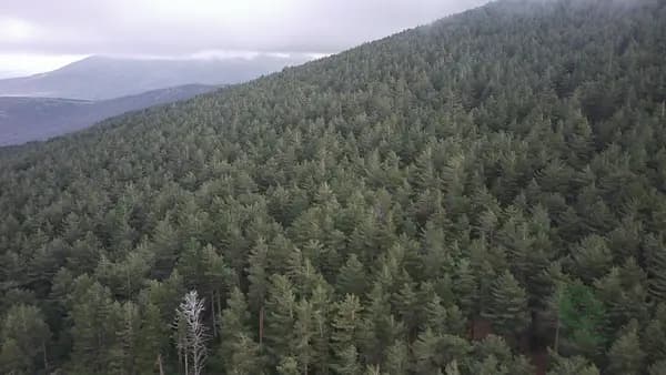 Rustic property of 931 ha for sale in Segovia