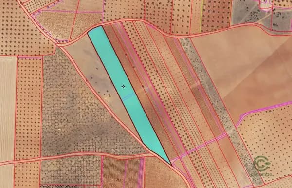 Finca agrícola de 1,76 ha en venta en Pozo de la serna, Ciudad real