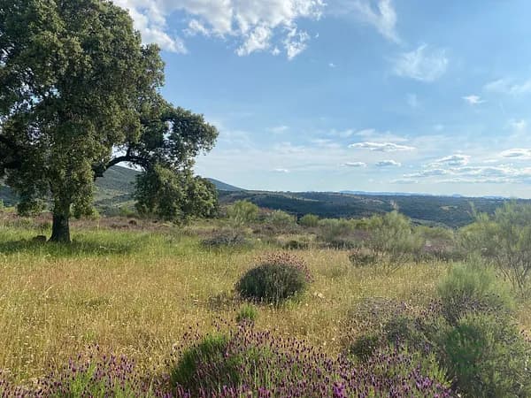 Finca rústica de 0,01 ha en venta en Toledo