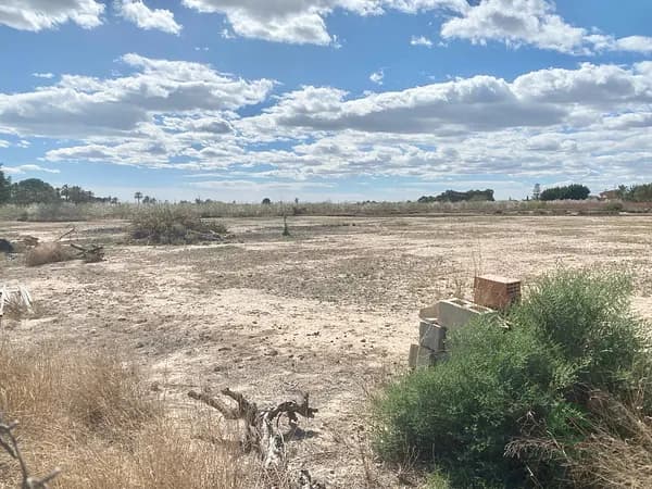 Finca rústica de 1 ha en venta en Elche pedanias, Alicante
