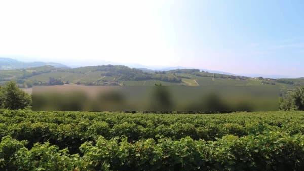 Finca rustica di 11,5 ha per vendita a Piemonte