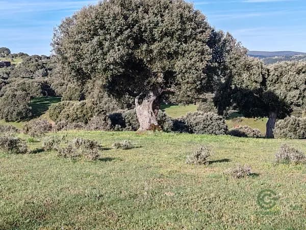 Finca rústica de 2,8 ha en venta en Salamanca