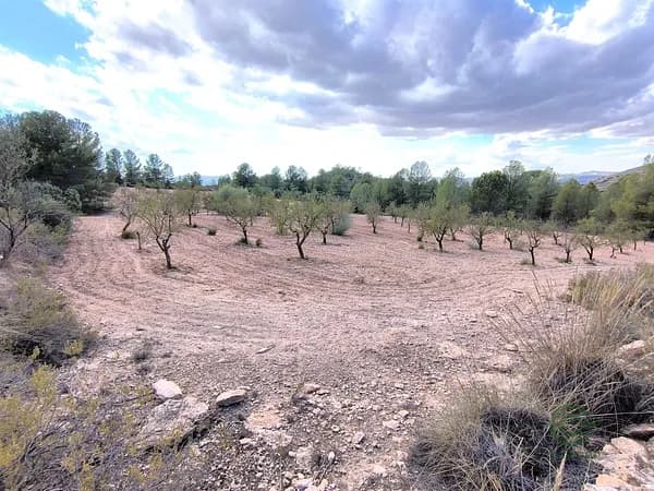 Finca rústica de 1,04 ha en venta en Yecla, Murcia