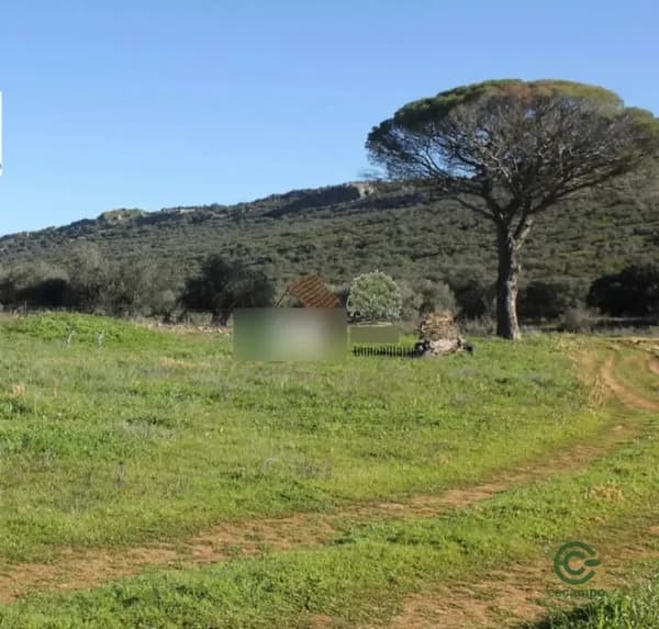 Finca rústica de 370 ha en venta en Ciudad real