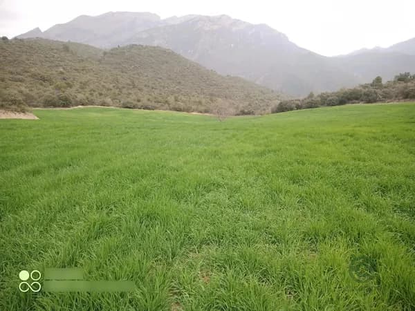 Finca agrícola de 11 ha en venta en Ager, Lleida