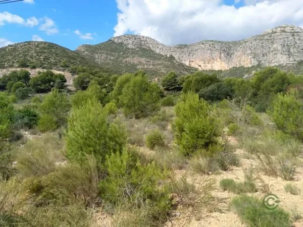 Finca agrícola de 2,078 ha en venta en Oropesa del mar, Castellon