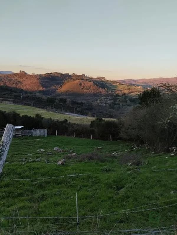 Finca rústica de 0,28 ha en venta en Oviedo, Asturias