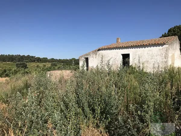 Finca agrícola de 4,0196 ha en venta en Hinojos, Huelva