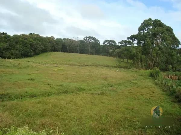 Terra urbana de 2,4 ha para venda em Santa catarina