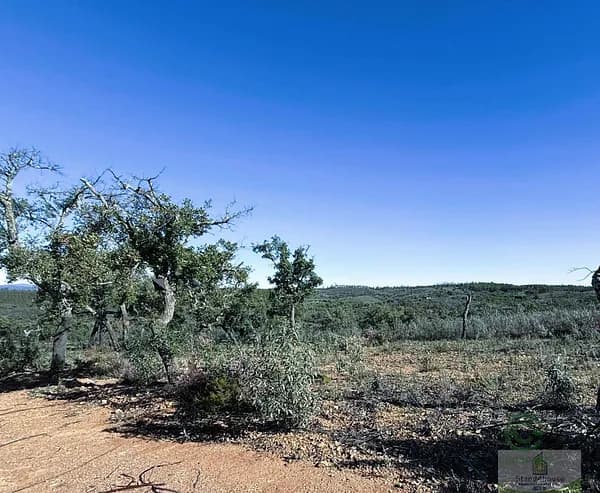 Finca rústica de 0,2208 ha en venta en Berrocal, Huelva