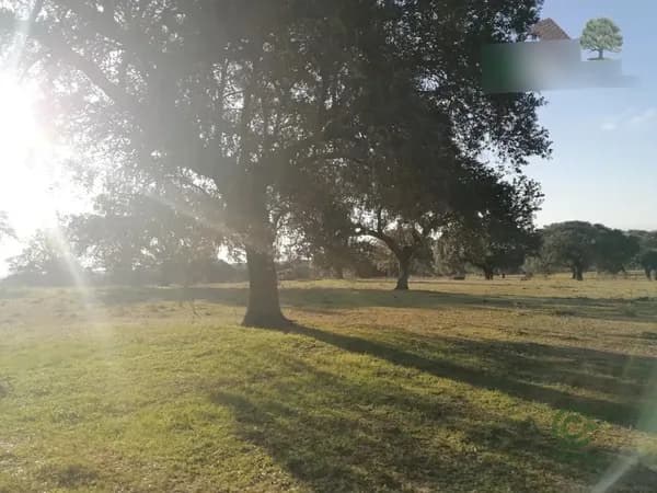 Finca rústica de 420 ha en venta en Cáceres
