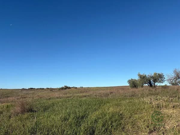 Finca agrícola de 5,7 ha en venta en Almonte, Huelva