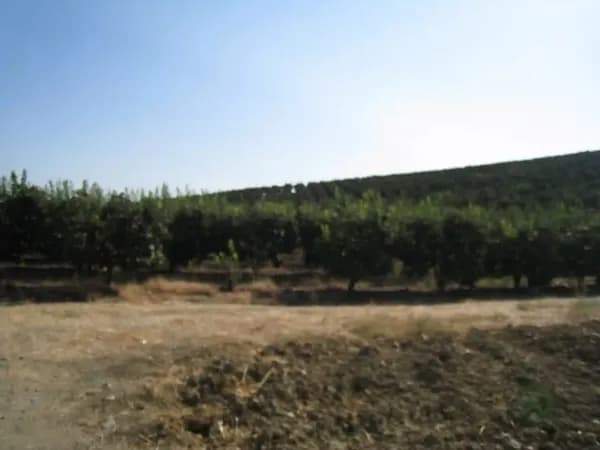 Finca agrícola de 6,55 ha en venta en Córdoba