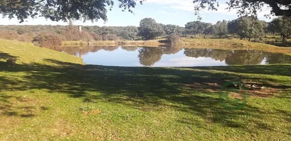 Finca rústica de 150 ha en venta en Salamanca