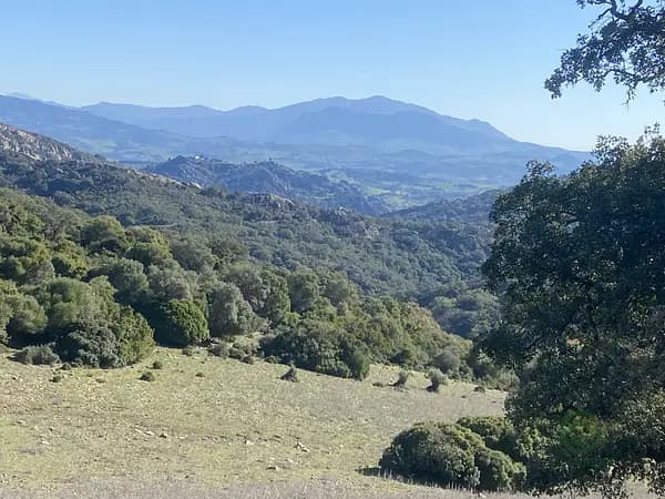 Finca rústica de 450 ha en venta en Cádiz