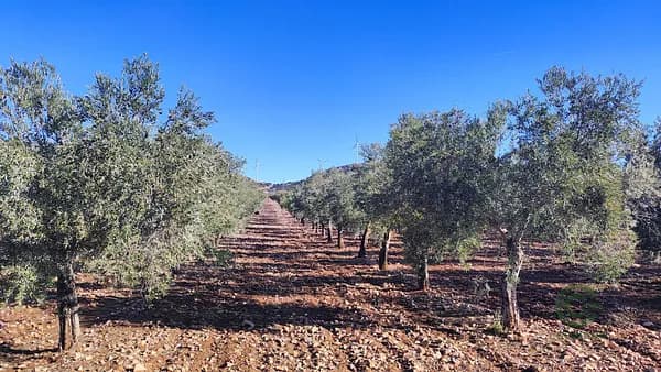 Finca agrícola de 16,7864 ha en venta en Toledo