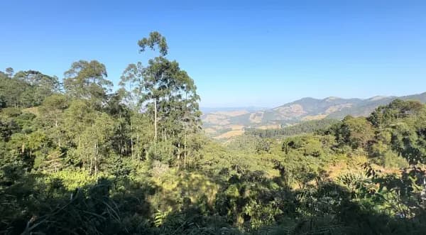 Fazenda florestal de 2 ha para venda em Minas gerais