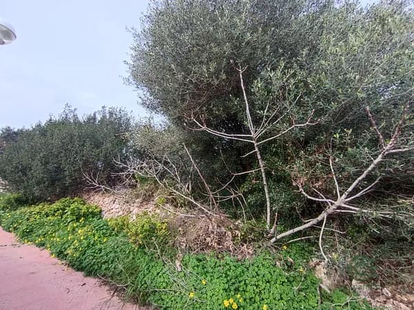 Finca rústica de 0,0551 ha en venta en Islas baleares