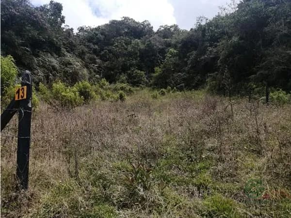 Finca forestal de 0,305 ha en venta en Antioquia