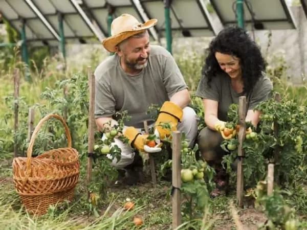 Fazenda rustica de 2 ha para venda em Rio grande do sul