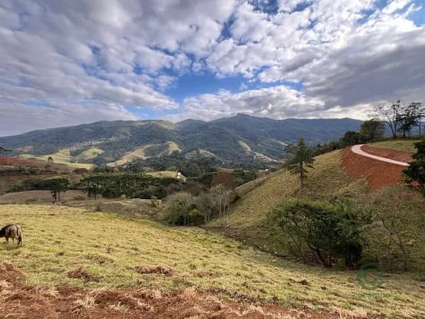 Fazenda florestal de 3 ha para venda em Minas gerais
