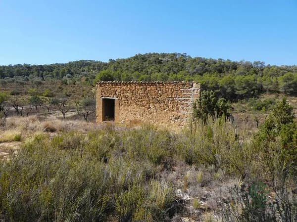 Finca rústica de 2,25 ha en venta en Maella, Zaragoza
