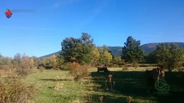 Finca rústica de 0,37 ha en venta en Sotosalbos, Segovia