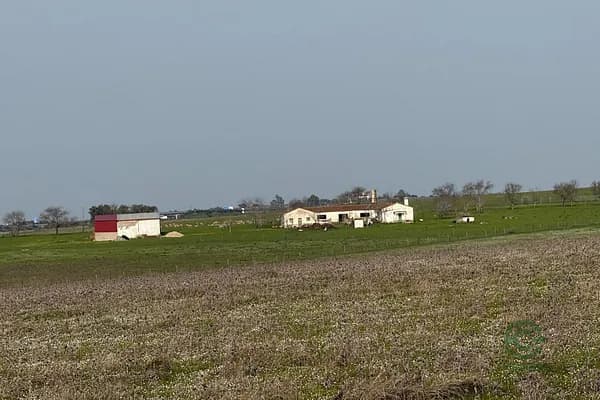 Finca ganadera de 142 ha en venta en Cáceres