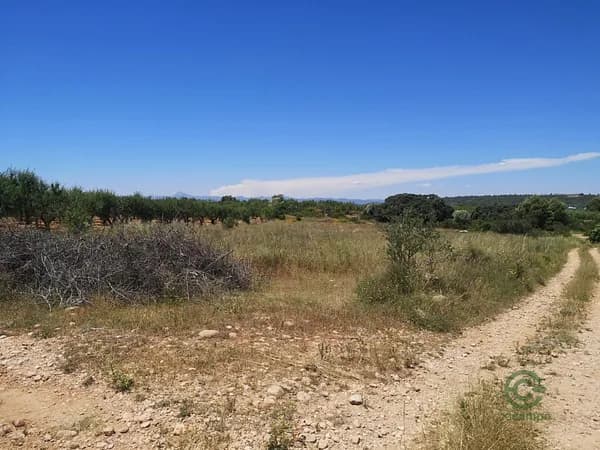 Finca agrícola de 0,5718 ha en venta en Vall d'alba, Castellon