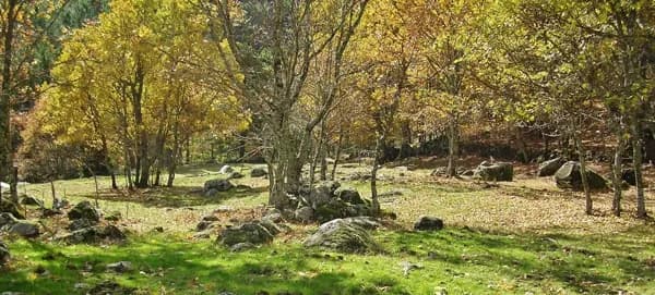 Finca rústica de 13 ha en venta en Ávila