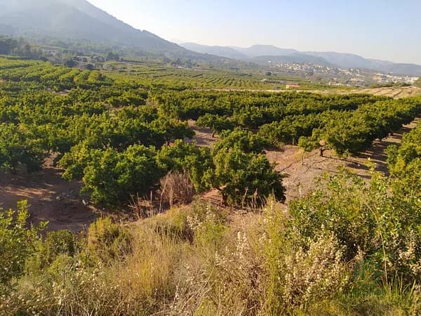 Finca agrícola de 53,76 ha en venta en Betxi, Castellon