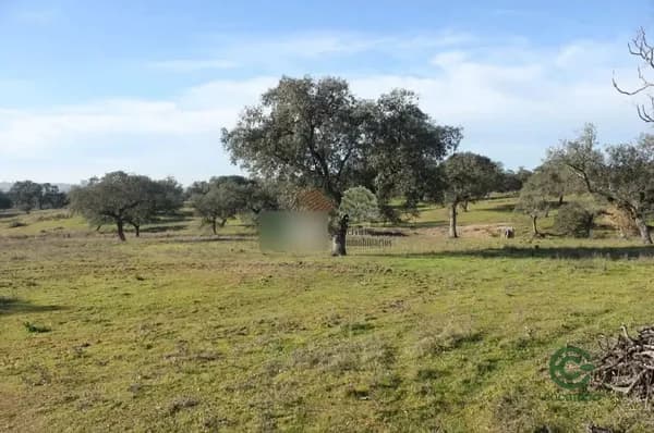 Finca ganadera de 113 ha en venta en Badajoz