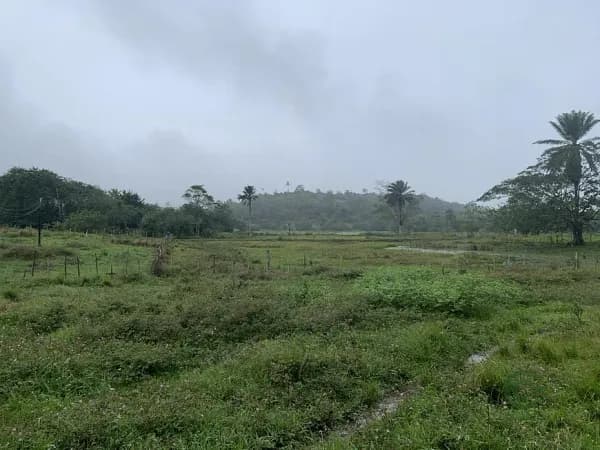 Fazenda rustica de 10,06 ha para venda em Bahia