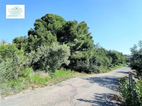 Finca agrícola de 0,42 ha en venta en Alcanar, Tarragona