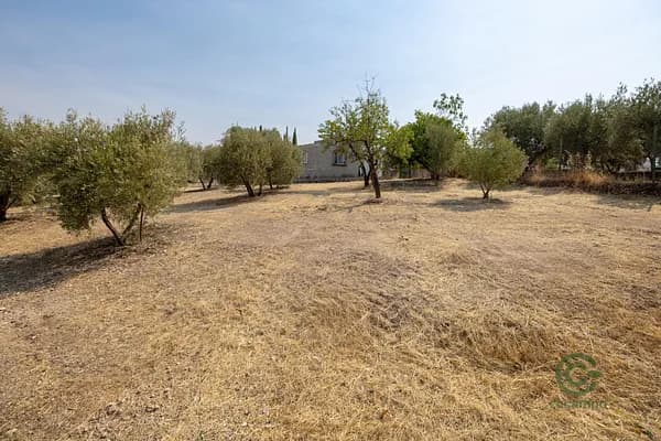 Finca rústica de 0,26 ha en venta en Granada